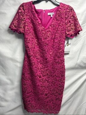 NWT - Kenzie Embroidered Lace Short Sleeve Pink/Gold Sheath Dress - Size 6